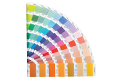 Color-Swatch.png