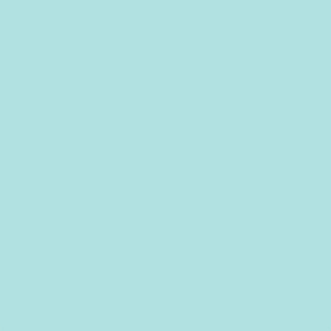 12Tiffany-Blue-Pantone-317C